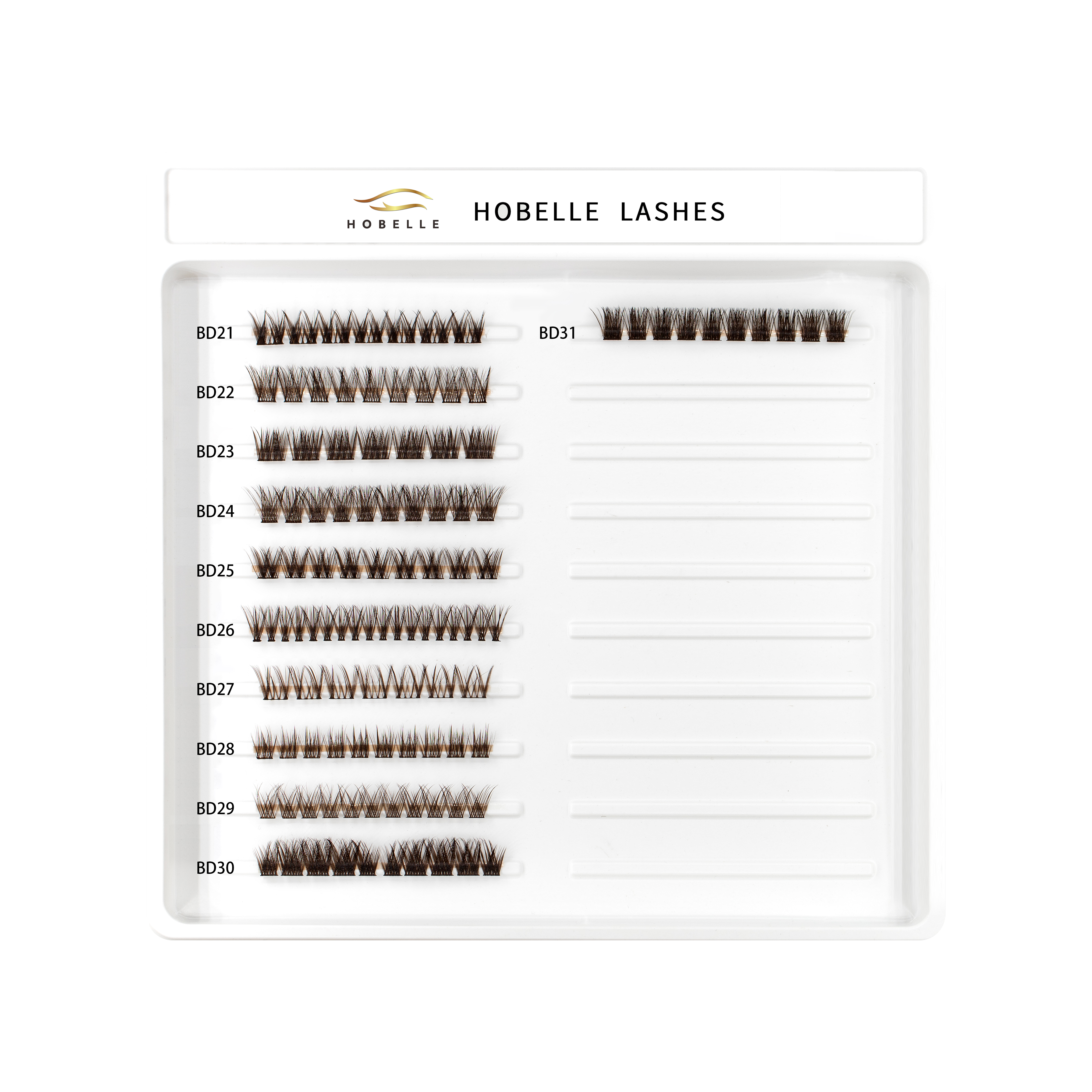 DIY LASHES BD 21-31